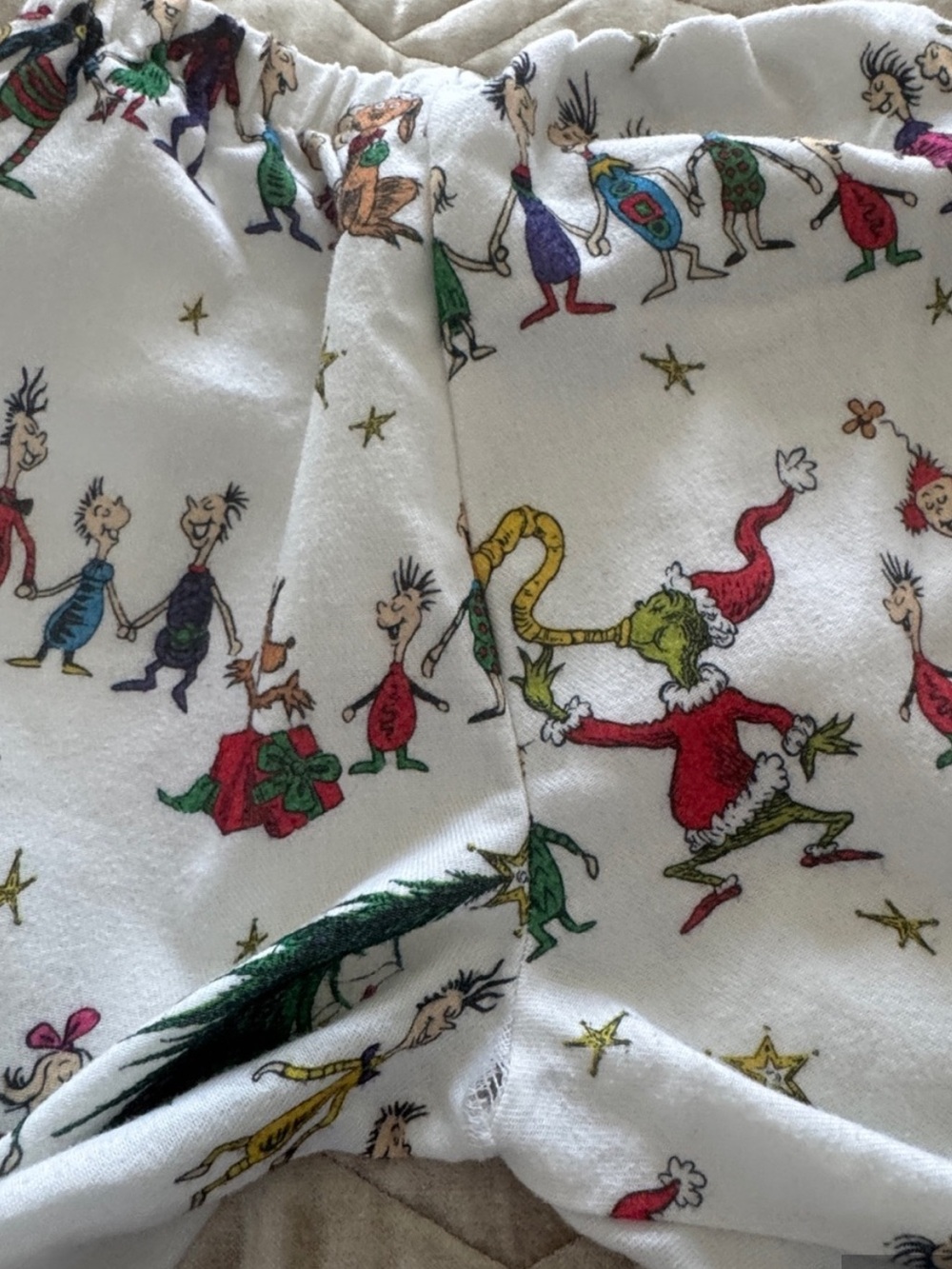 Dr.Seuss The Grinch Matching Family Pajama Set Kids 6 Adult S & XL Pottery Barn - Picture 16 of 17